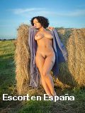 Fiesta blanca sexo en Marin en 